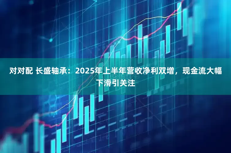 对对配 长盛轴承：2025年上半年营收净利双增，现金流大幅下滑引关注