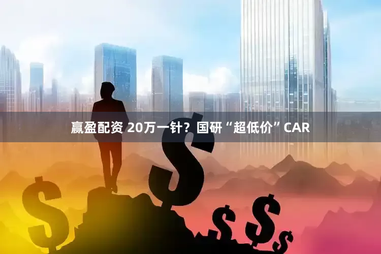赢盈配资 20万一针？国研“超低价”CAR